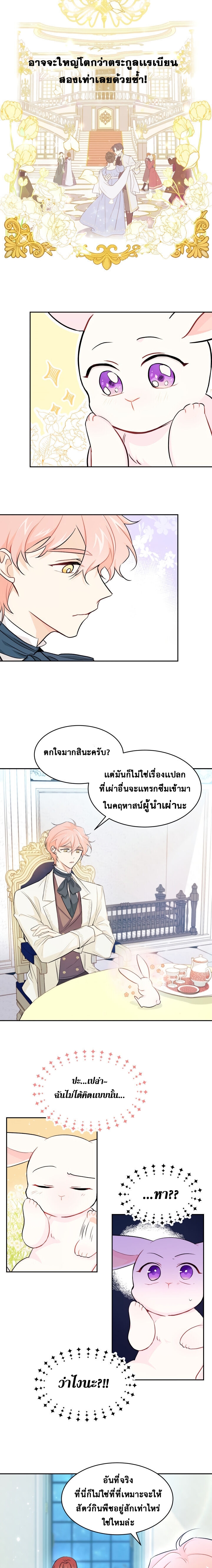 The Symbiotic Relationship Between a Panther and a Rabbit15 (8)